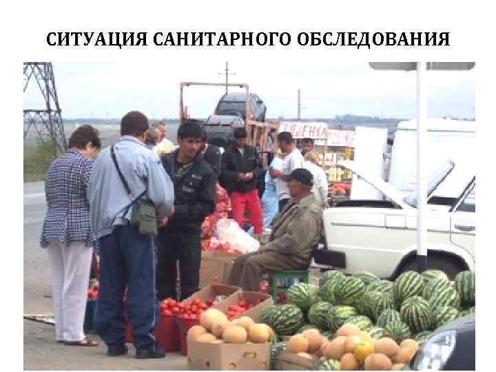 СИТУАЦИЯ САНИТАРНОГО ОБСЛЕДОВАНИЯ Автор: Ж. В. Гудинова 23 