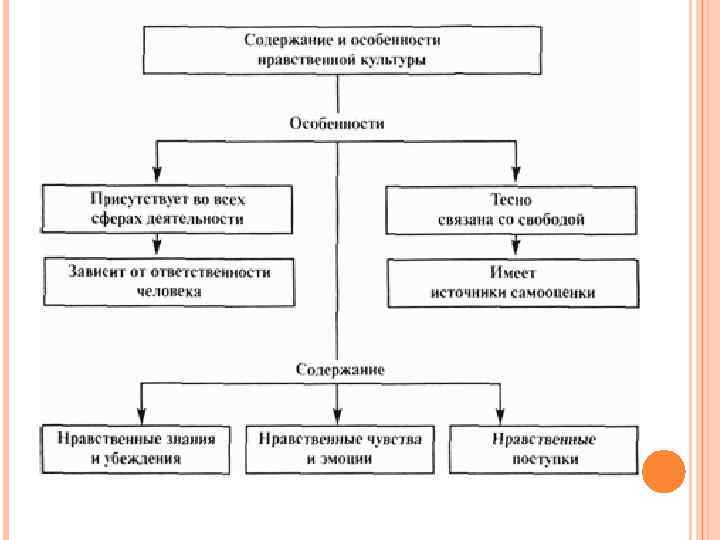 Структура культуры схема