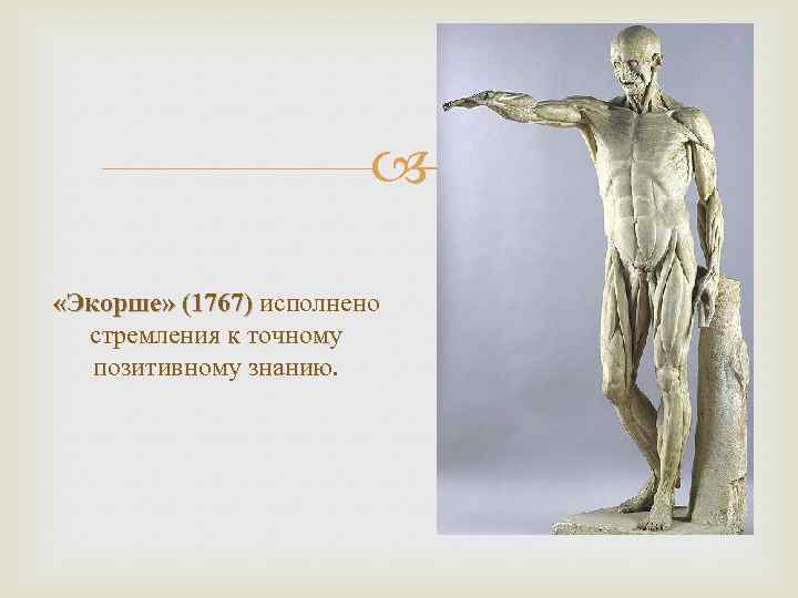  «Экорше» (1767) исполнено стремления к точному позитивному знанию. 