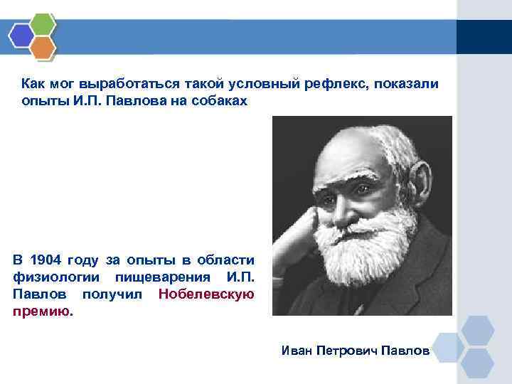 Как мог выработаться такой условный рефлекс, показали опыты И. П. Павлова на собаках В