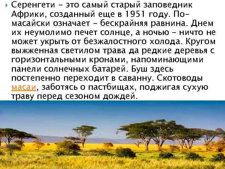  Серенгети - это самый старый заповедник Африки, созданный еще в 1951 году. Помасайски