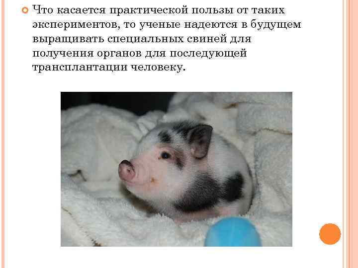  Что касается практической пользы от таких экспериментов, то ученые надеются в будущем выращивать