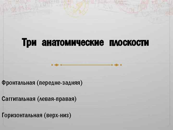 Три анатомические плоскости Фронтальная (передне-задняя) Саггитальная (левая-правая) Горизонтальная (верх-низ) 