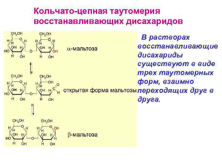 Кольчато-цепная таутомерия восстанавливающих дисахаридов В растворах восстанавливающие дисахариды существуют в виде трех таутомерных форм,