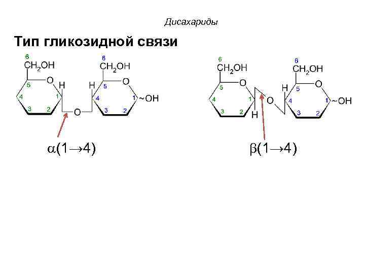 Связь 4 гликозидная. Мальтоза Тип гликозидной связи. Α-1,4-гликозидные связи. Тип гликозидной связи в дисахариде.
