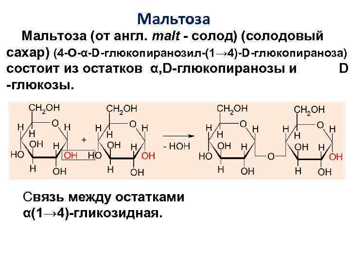 Схема фосфоролиза мальтозы