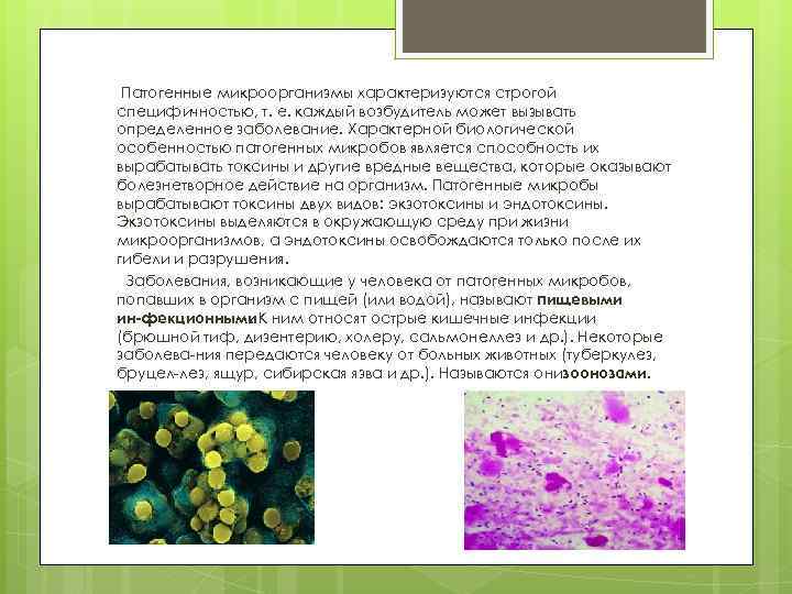 Патогенные микроорганизмы характеризуются строгой специфичностью, т. е. каждый возбудитель может вызывать определенное заболевание. Характерной