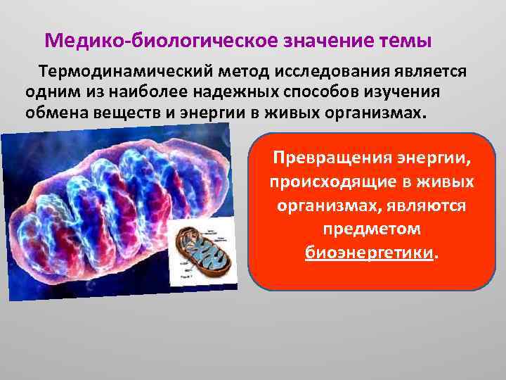 Медико-биологическое значение темы Термодинамический метод исследования является одним из наиболее надежных способов изучения обмена