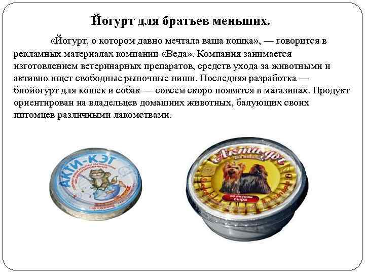 Йогурт для братьев меньших. «Йогурт, о котором давно мечтала ваша кошка» , — говорится
