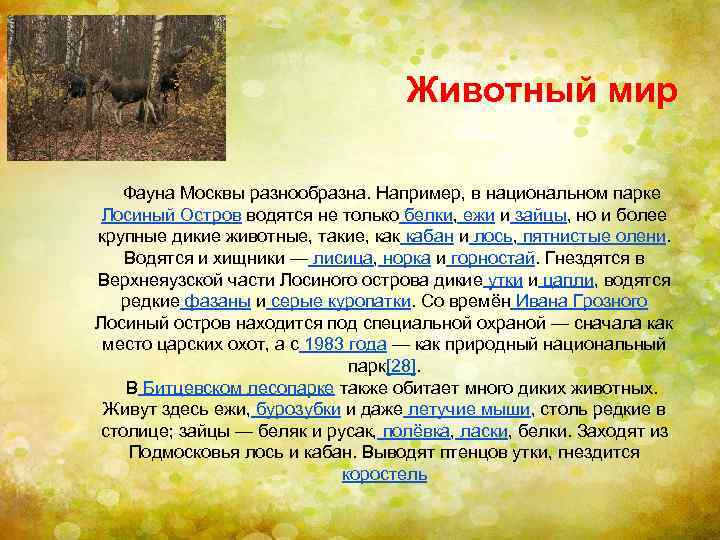 Животный мир Фауна Москвы разнообразна. Например, в национальном парке Лосиный Остров водятся не только