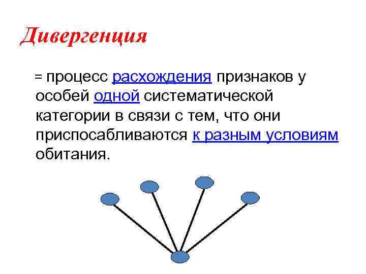 Выбери понятие дивергенция. Дивергенция. Дивергенция биология. Дивергенция (математика). Дивергенция процесс расхождения признаков.