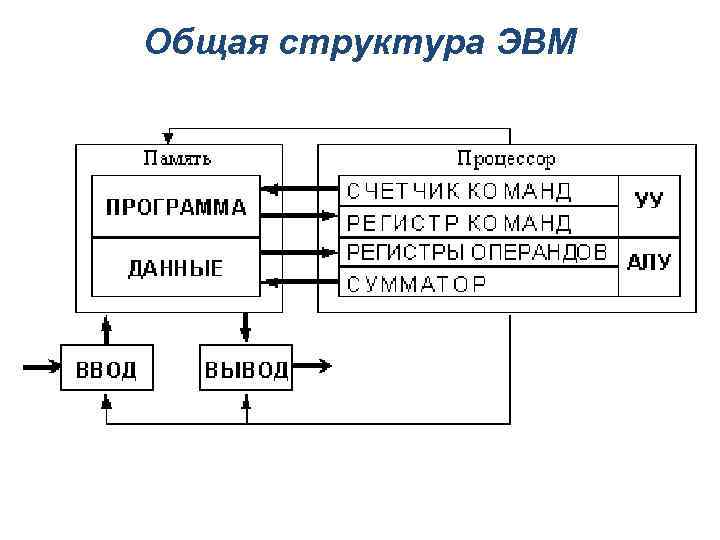 Общая структура ЭВМ 