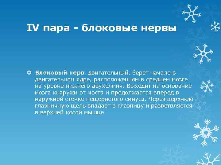 IV пара - блоковые нервы Блоковый нерв двигательный, берет начало в двигательном ядре, расположенном