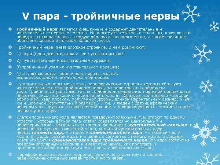 V пара - тройничные нервы Тройничный нерв является смешанным и содержит двигательные и чувствительные