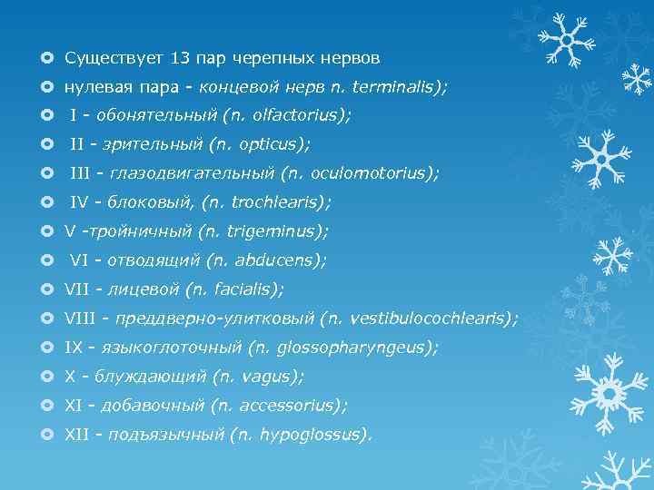  Существует 13 пар черепных нервов нулевая пара - концевой нерв n. terminalis); I