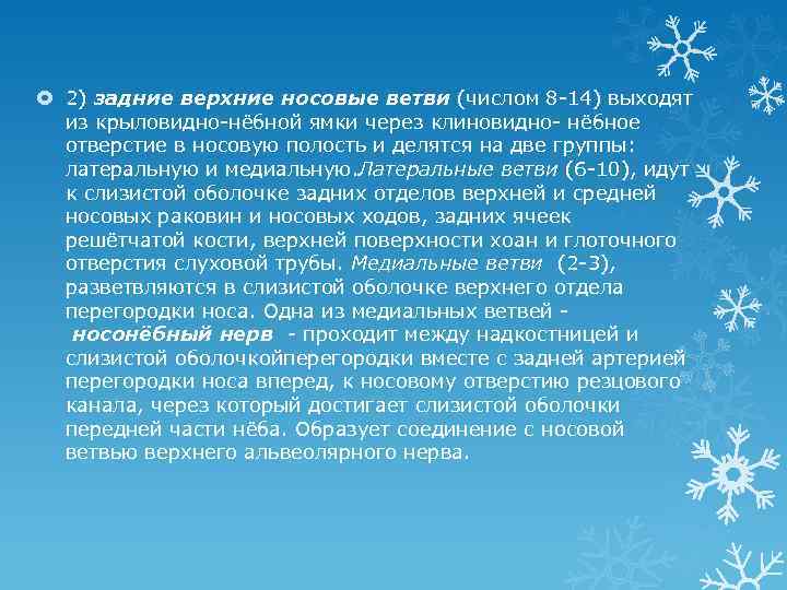  2) задние верхние носовые ветви (числом 8 -14) выходят из крыловидно-нёбной ямки через