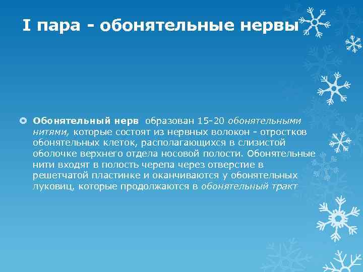 I пара - обонятельные нервы Обонятельный нерв образован 15 -20 обонятельными нитями, которые состоят