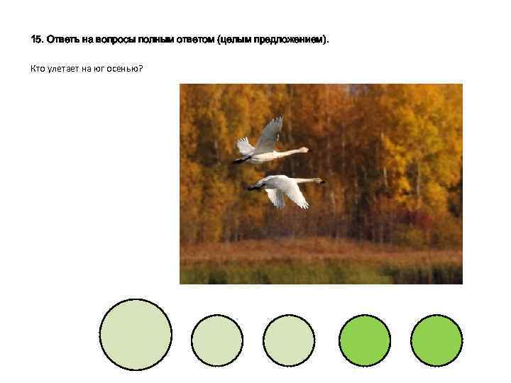 15. Ответь на вопросы полным ответом (целым предложением). Кто улетает на юг осенью? 
