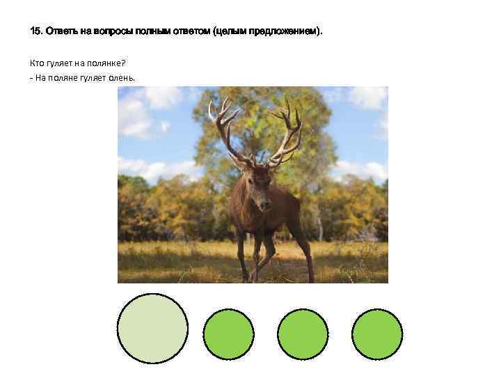 15. Ответь на вопросы полным ответом (целым предложением). Кто гуляет на полянке? - На
