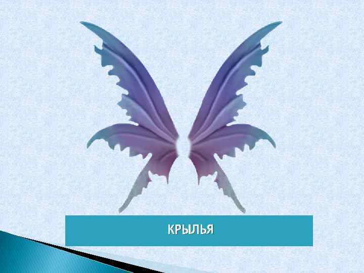 КРЫЛЬЯ 