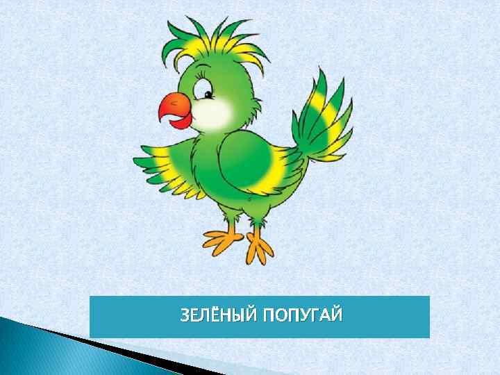 ЗЕЛЁНЫЙ ПОПУГАЙ 