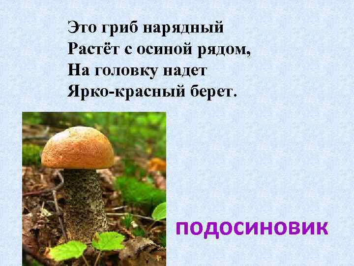 Это гриб нарядный Растёт с осиной рядом, На головку надет Ярко-красный берет. подосиновик 