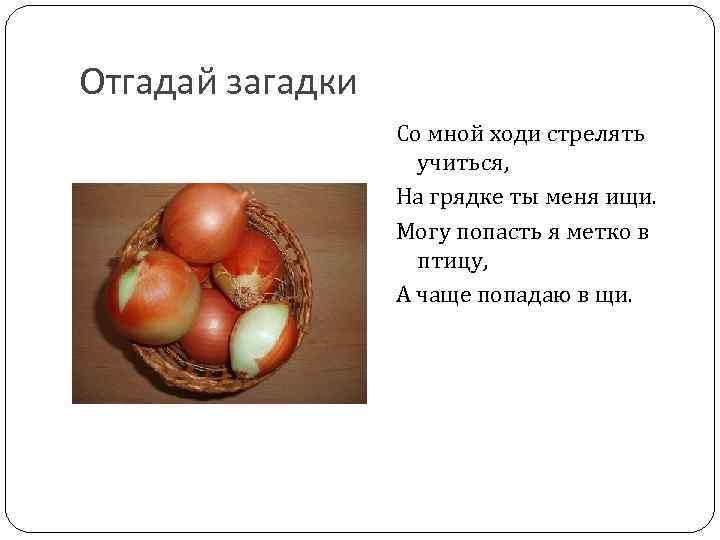 Отгадай загадки Со мной ходи стрелять учиться, На грядке ты меня ищи. Могу попасть