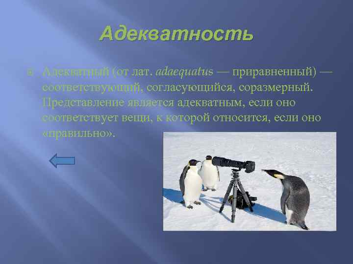 Адекватность Адекватный (от лат. adaequatus — приравненный) — соответствующий, согласующийся, соразмерный. Представление является адекватным,