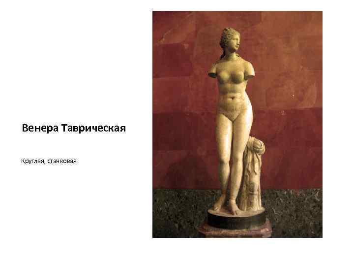 Венера Таврическая Круглая, станковая 