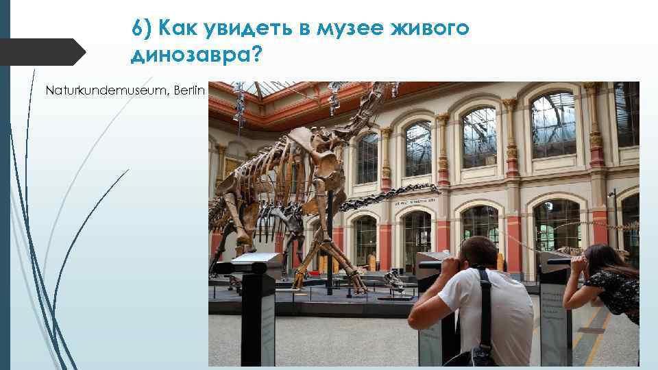 6) Как увидеть в музее живого динозавра? Naturkundemuseum, Berlin 