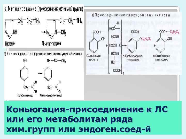 Коньюгация-присоединение к ЛС или его метаболитам ряда хим. групп или эндоген. соед-й 