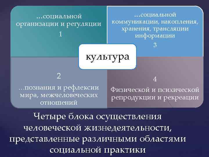 Культура учения. Внутренняя структура культуры. Социальная организация культуры. Трансляция организационной культуры. Культура трансляции и информации.