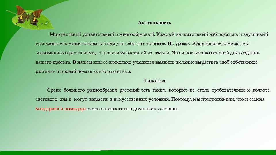 Актуальность Мир растений удивительный и многообразный. Каждый внимательный наблюдатель и вдумчивый исследователь может открыть