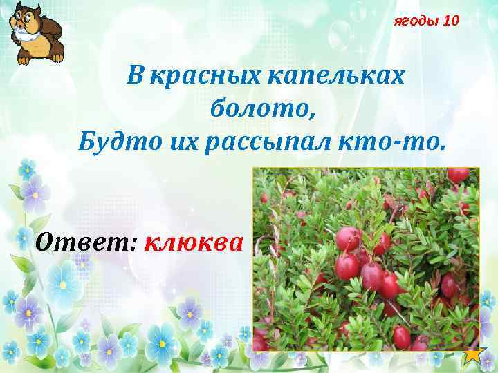 ягоды 10 В красных капельках болото, Будто их рассыпал кто-то. Ответ: клюква 