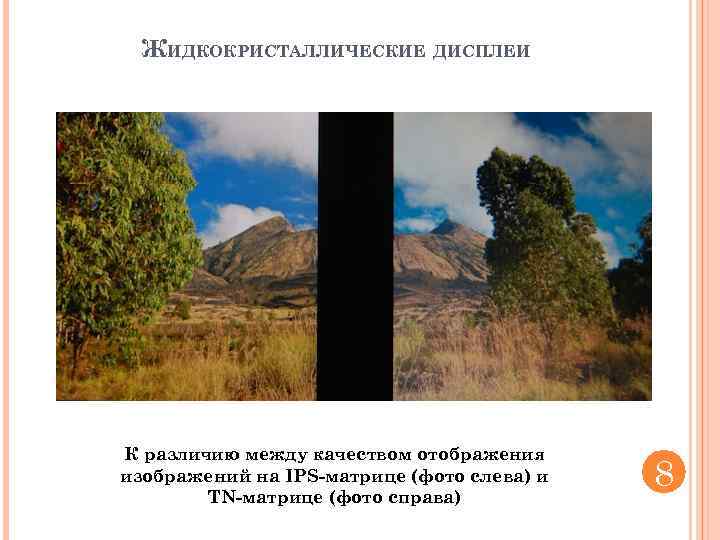 ЖИДКОКРИСТАЛЛИЧЕСКИЕ ДИСПЛЕИ К различию между качеством отображения изображений на IPS-матрице (фото слева) и TN-матрице