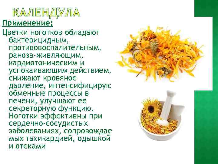 Применение: Цветки ноготков обладают бактерицидным, противовоспалительным, раноза-живляющим, кардиотоническим и успокаивающим действием, снижают кровяное давление,