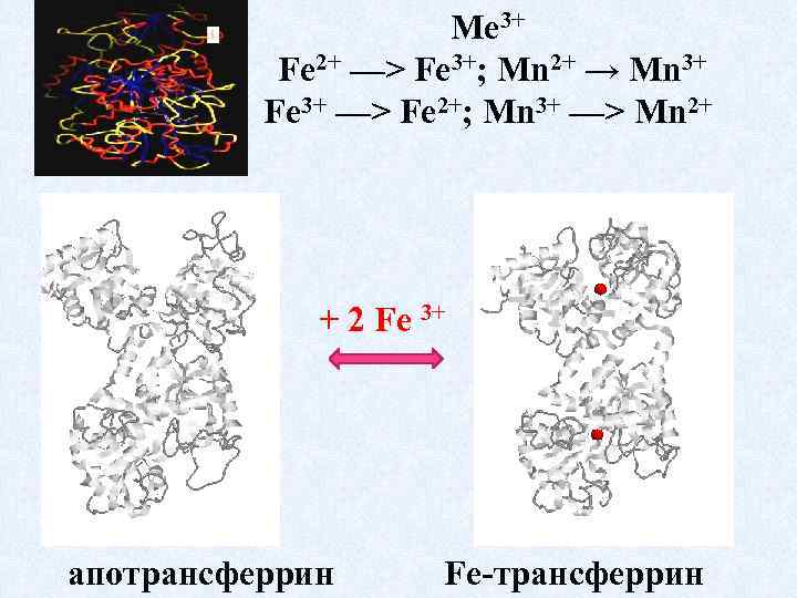 Ме 3+ Fe 2+ —> Fe 3+; Мn 2+ → Мn 3+ Fe 3+