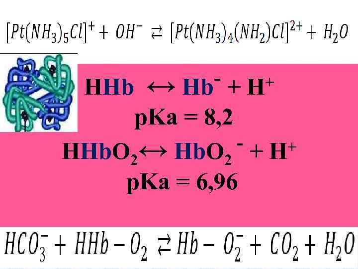 - + H+ HHb ↔ Hb p. Ka = 8, 2 - + H+