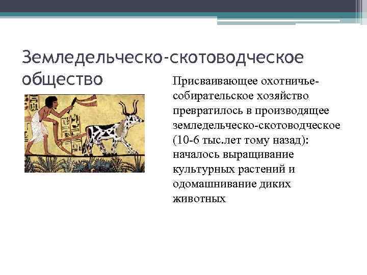 Земледельческо-скотоводческое Присваивающее охотничьеобщество собирательское хозяйство превратилось в производящее земледельческо-скотоводческое (10 -6 тыс. лет тому