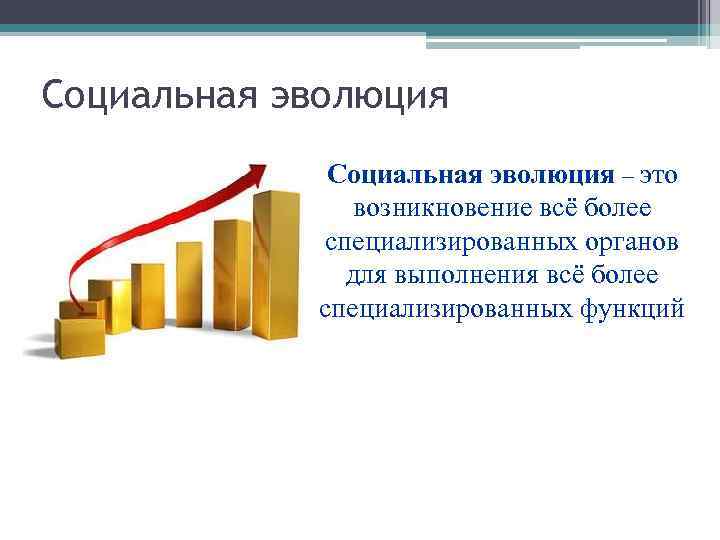 Социальная эволюция – это возникновение всё более специализированных органов для выполнения всё более специализированных