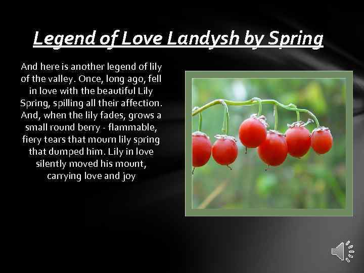 Legend of Love Landysh by Spring And here is another legend of lily of