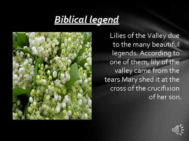 Biblical legend Lilies of the Valley due to the many beautiful legends. According to