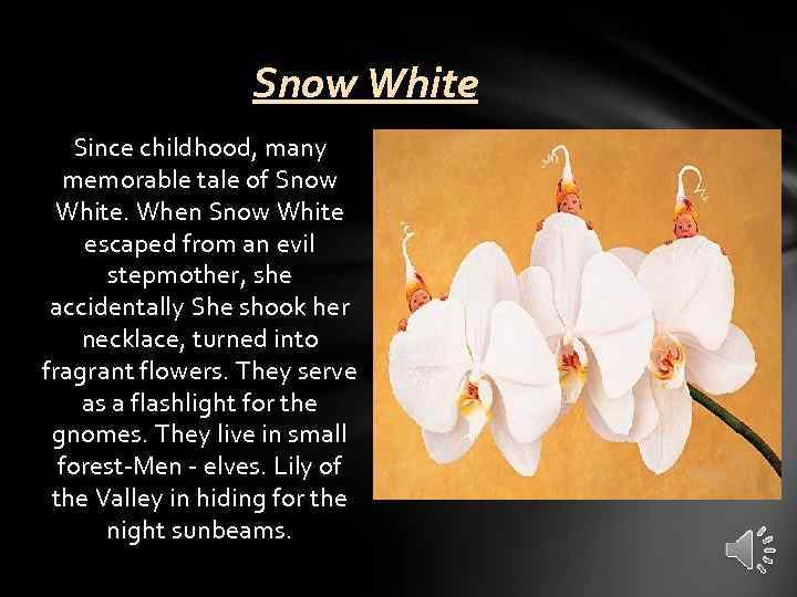 Snow White Since childhood, many memorable tale of Snow White. When Snow White escaped