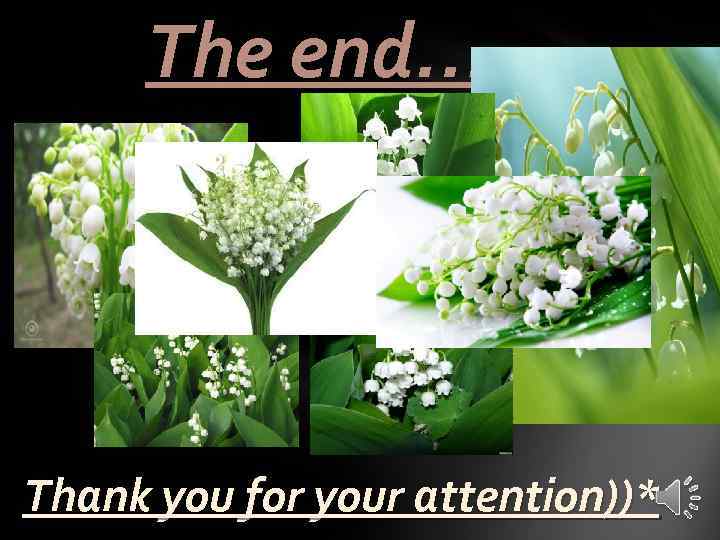 The end…. Thank you for your attention))* 