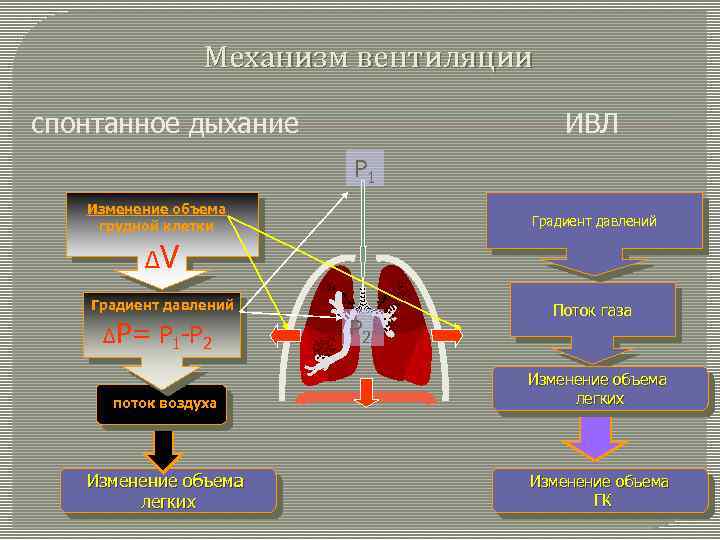 Легочная вентиляция составляет