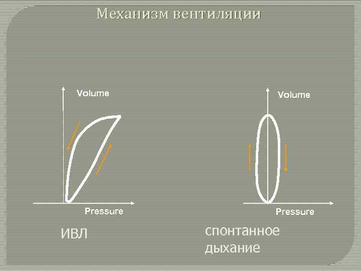 Механизм вентиляции Volume Pressure ИВЛ Volume Pressure спонтанное дыхание 