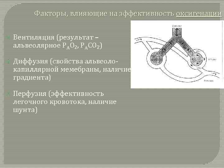 Факторы, влияющие на эффективность оксигенации Вентиляция (результат – альвеолярное РАО 2, РАСО 2) Диффузия