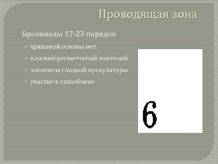 Проводящая зона Бронхиолы 17 -23 порядок • хрящевой основы нет • плоский реснитчатый эпителий