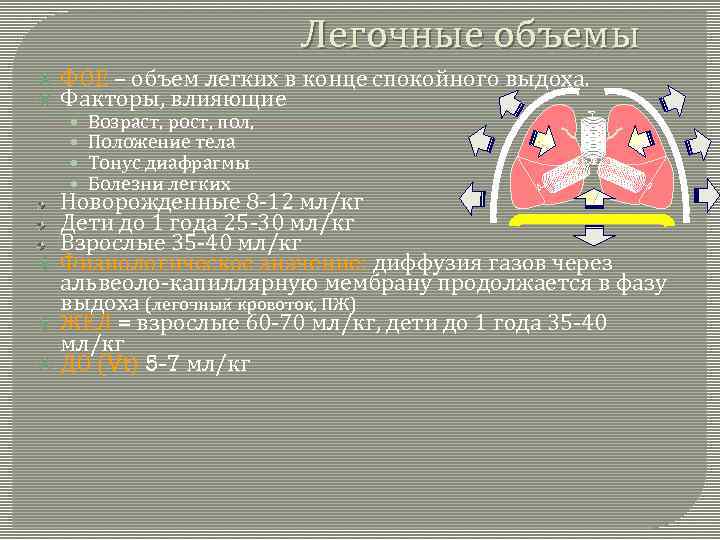 Легочные объемы ФОЕ – объем легких в конце спокойного выдоха. Факторы, влияющие • •