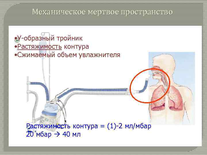 Механическое мертвое пространство • У-образный тройник з • Растяжимость контура • Сжимаемый объем увлажнителя